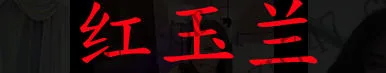 红玉兰 万锦新店，嬌小玲瓏的鄰家女孩，讓哥哥享受初戀...